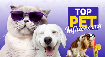 From Pets to Celebrities: The Social Secrets Behind the Entertainment Industry