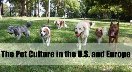 The Pet Culture in the U.S. and Europe: A Comprehensive Overview