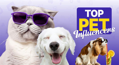 From Pets to Celebrities: The Social Secrets Behind the Entertainment Industry