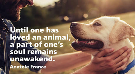 Pets and Loneliness: The Special Relationship Between Single People and Pets