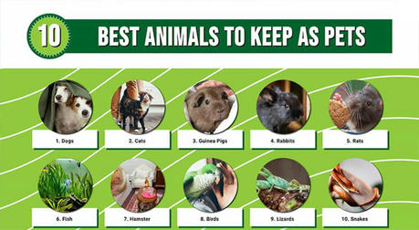 The 10 Best Animals to Keep as Pets in 2025